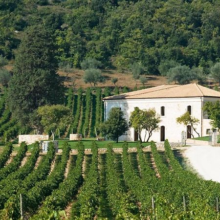 San Calisto Camere Con Vigna Popoli Extérieur photo